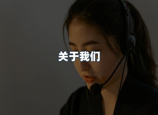 关于我们